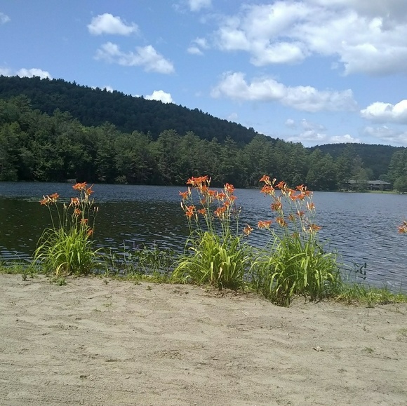 Meet your Posher, Anusha - Picture 1 of 1